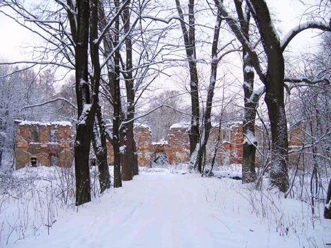 Foto 13
